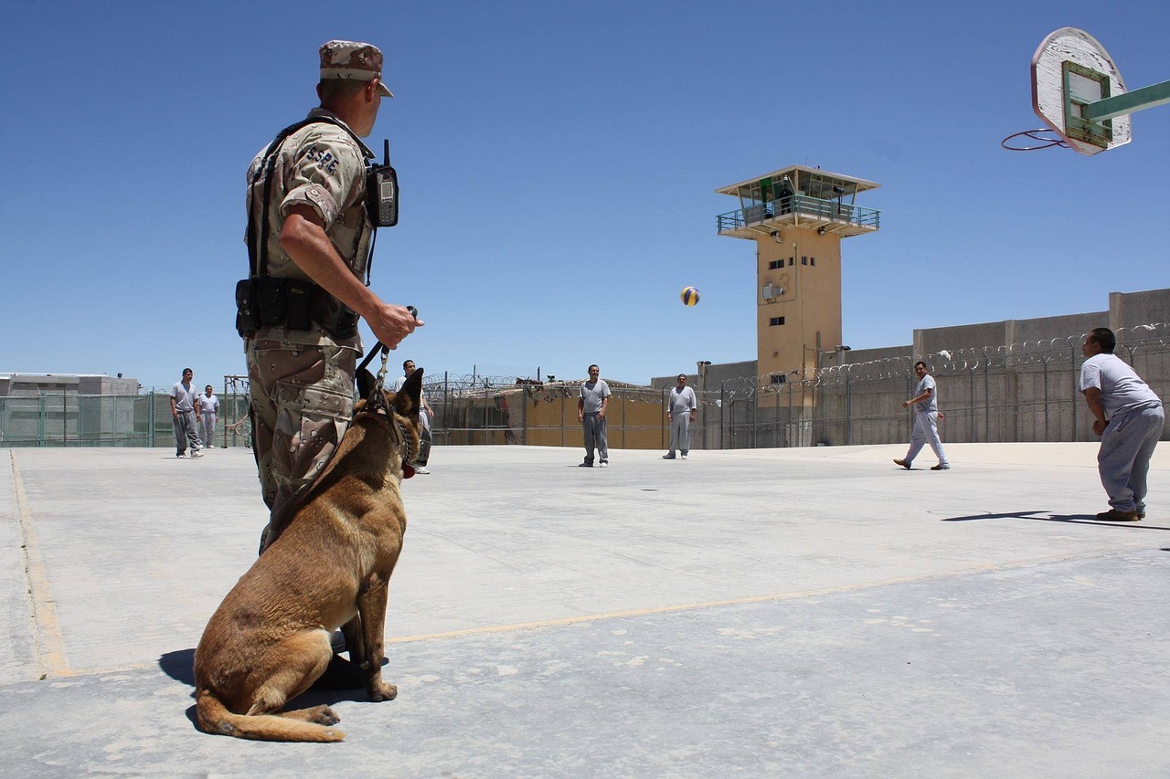 The Ultimate Guide to Choosing the Best Security Guard Company in California