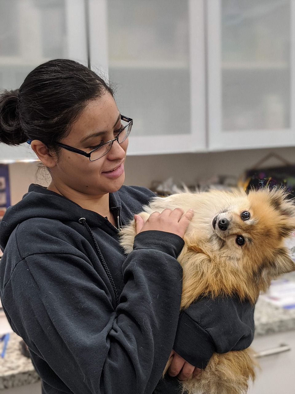 Pet Clinic Veterinary Diagnostics: What’s Needed to Keep Your Pet Healthy?