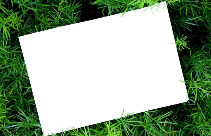 Unwrapping The Benefits Of Having A Medical Marijuana Card