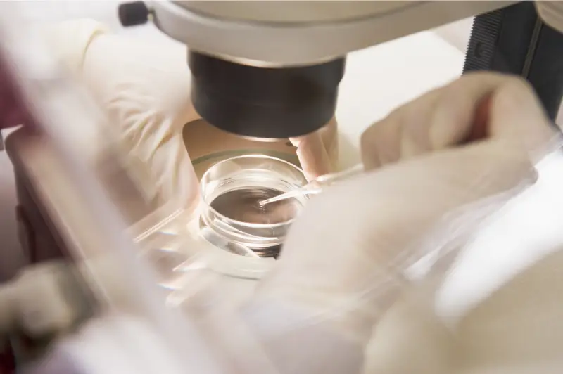 Your Complete Overview Of Egg Donation In San Diego